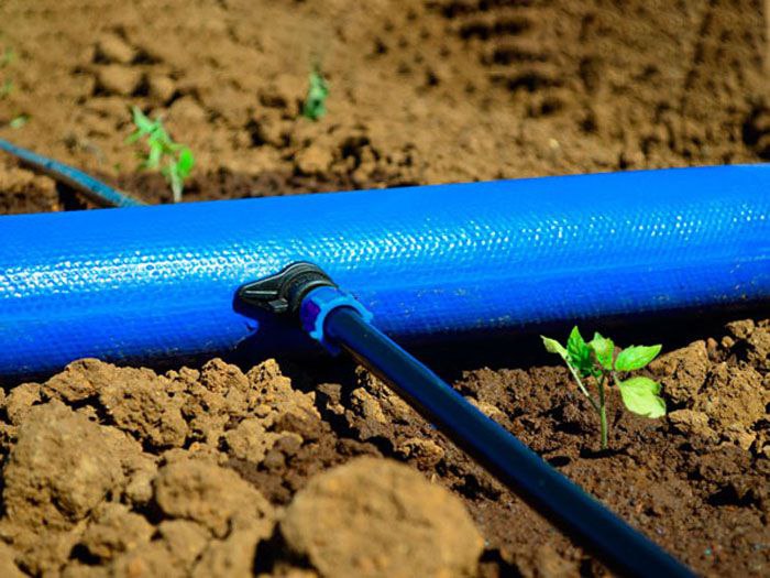 پیشرو در اجرا و توسعه پروژه ها پیشرو در اجرا و توسعه پروژه ها